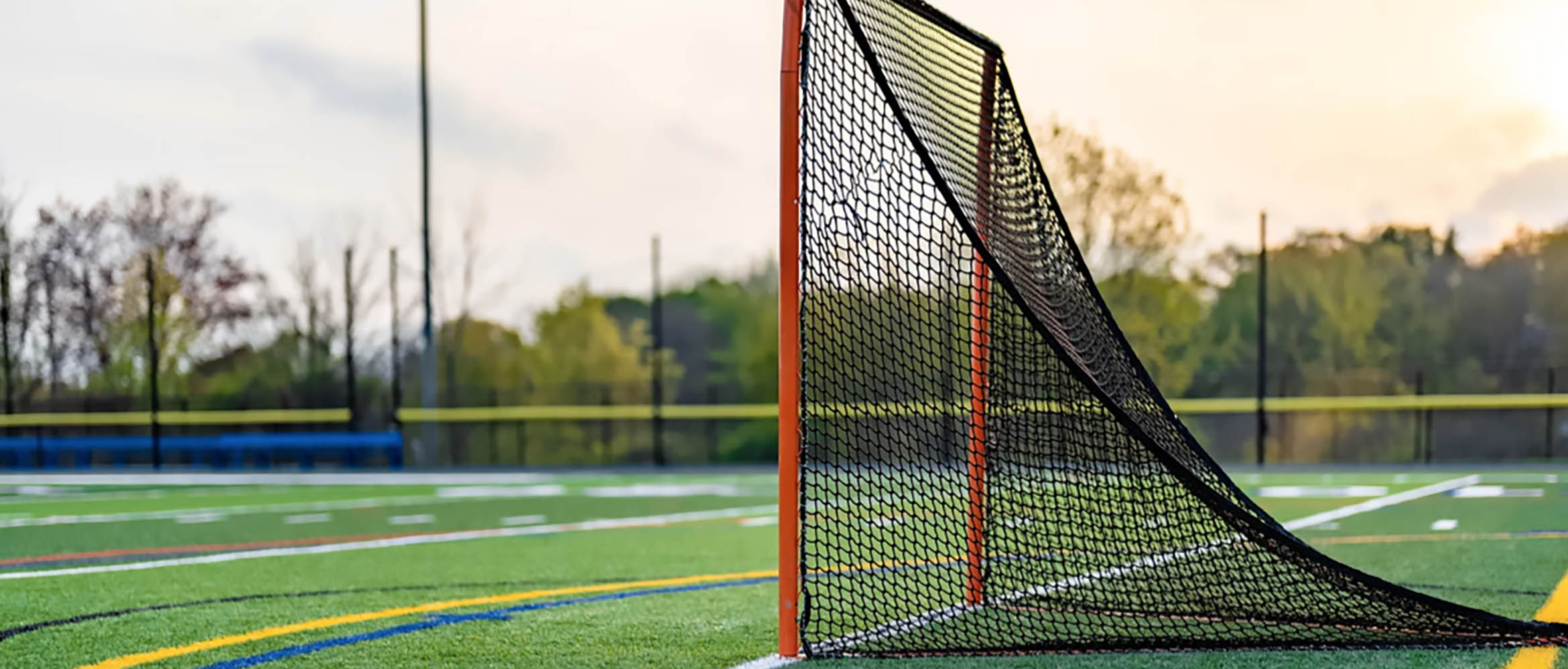 Lacrosse net at sundown